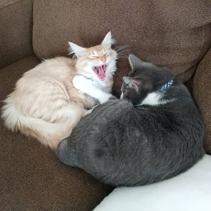 55d0b297 78b2 4b64 b98a cb636f9af2dd 1612086230151