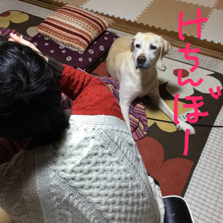 55d0c81e 2e95 4e64 9cc2 3ae016843b3f 1515148018550