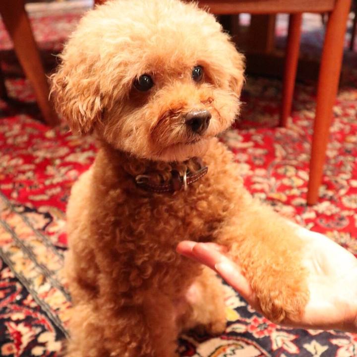 55d12359 69b7 4511 b072 c57c6e216276 1549431590611