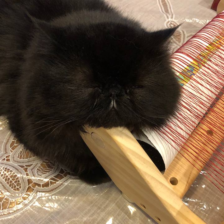 55d12b52 7b97 48be bb95 d04c4c693fb7 1543070344162