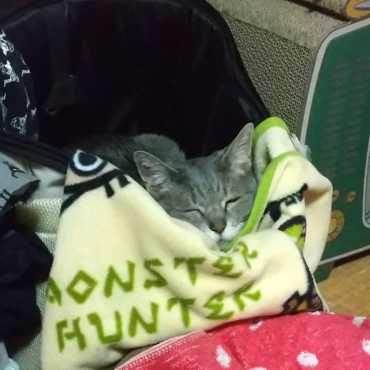 55d12eef 47fa 4f6d b099 2fa3856827f4 1618914685887