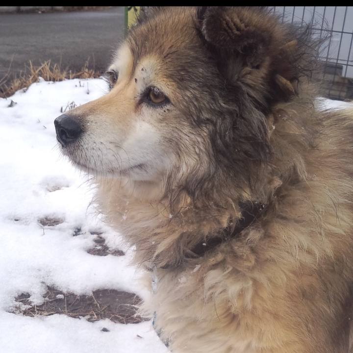 55d132b1 942d 4384 a9e5 dc806ad22358 1592969799297