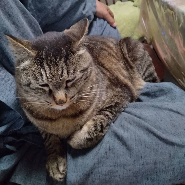 55d13bb8 8a12 4a1c 9151 ac36ca8af4cd 1684543554312