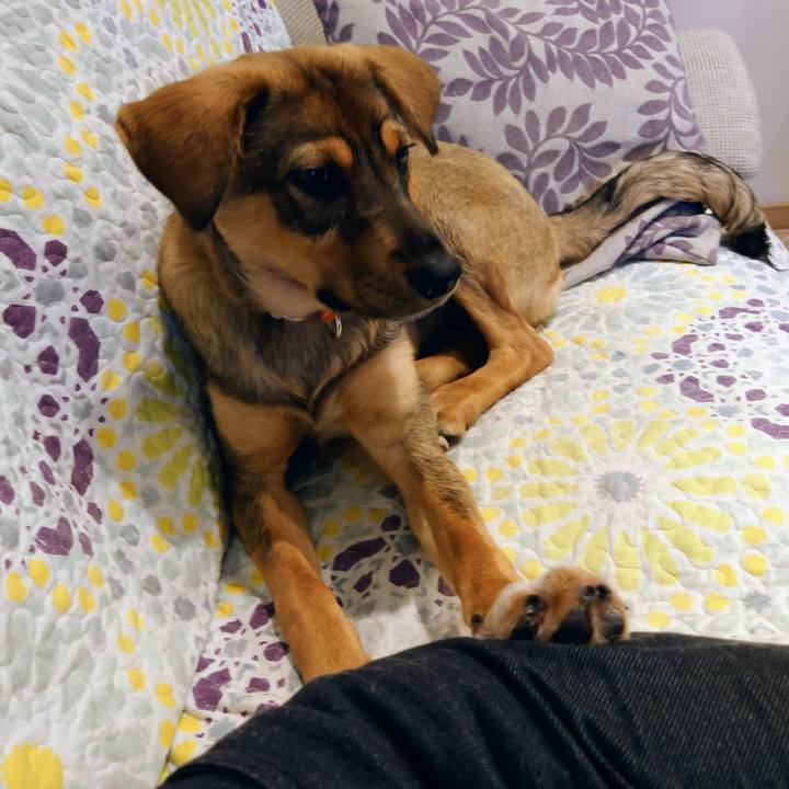 55d167bf 76ab 4c20 a13b 1f15ceecbc21 1685787345538