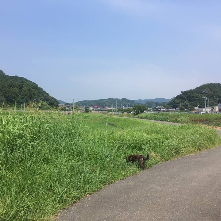 55d17b7e d603 4fb0 a5bc efb5c028f5ca 1532868641167