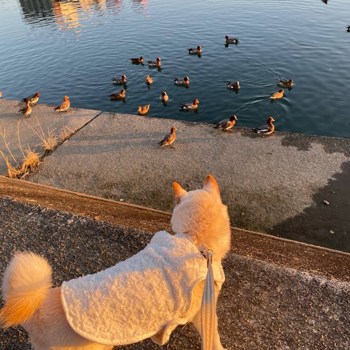 55d1879b 7786 444c 890a 931c724b70d0 1638704378648