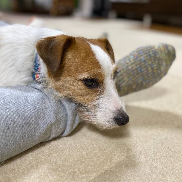 55d1bac1 8bb5 4142 b38b c2fdc99c9c2a 1708120804519