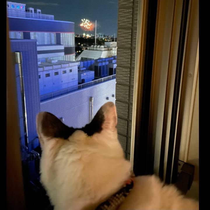 55d1d588 52df 487a 9ec2 bbdb0cd69577 1722166560732