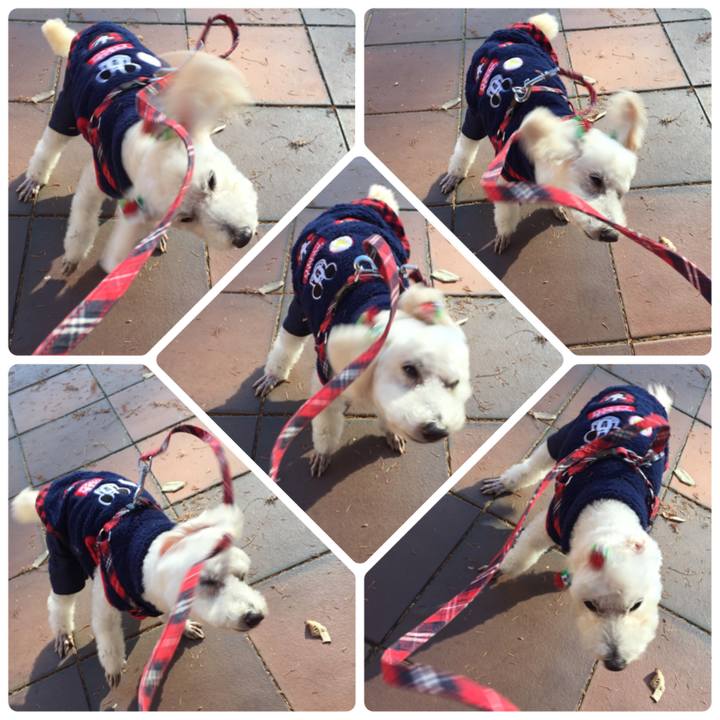 55d21cd8 bc1a 4c40 88eb 18e343acbd2a 1513949435589