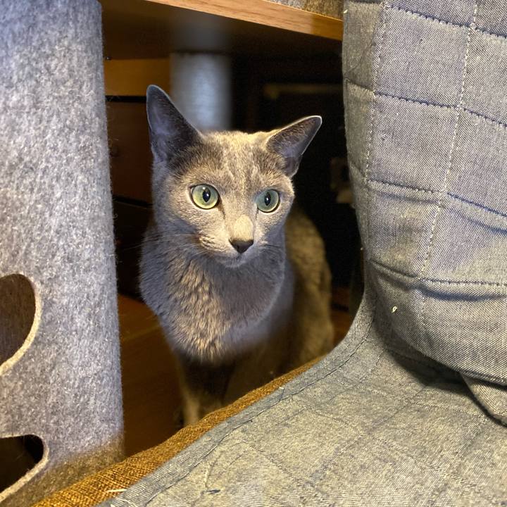 55d21fa9 48d7 4650 90dc 083af510b9eb 1715576973181