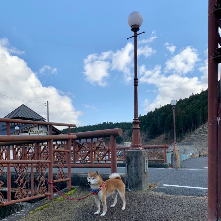 55d247c1 5b2d 4072 9076 6dc6d6b1568d 1582888198218