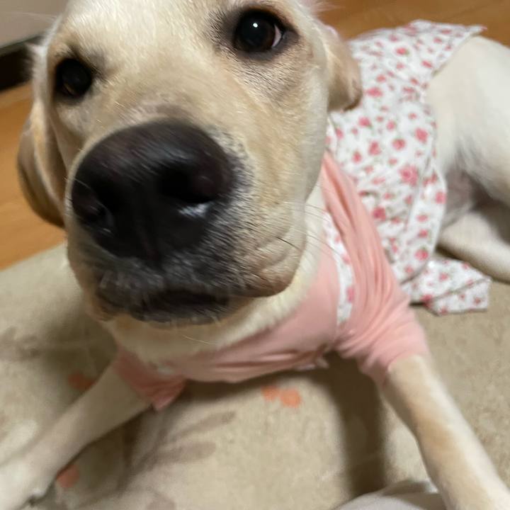 55d2534d 7513 4f6e a60c 2144cec93b55 1640009569153