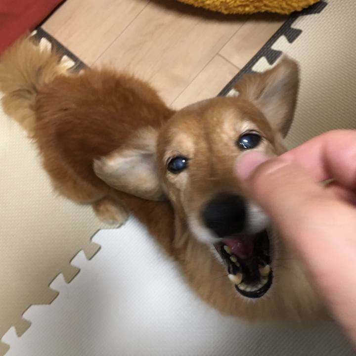 55d25784 6ce0 4fb4 b1d9 7551cc333004 1630589982096