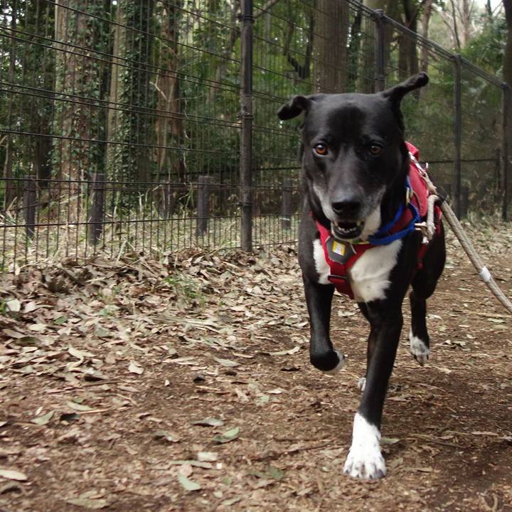 55d2894f 161a 4ebb 8311 faef0ff7563e 1679356413298