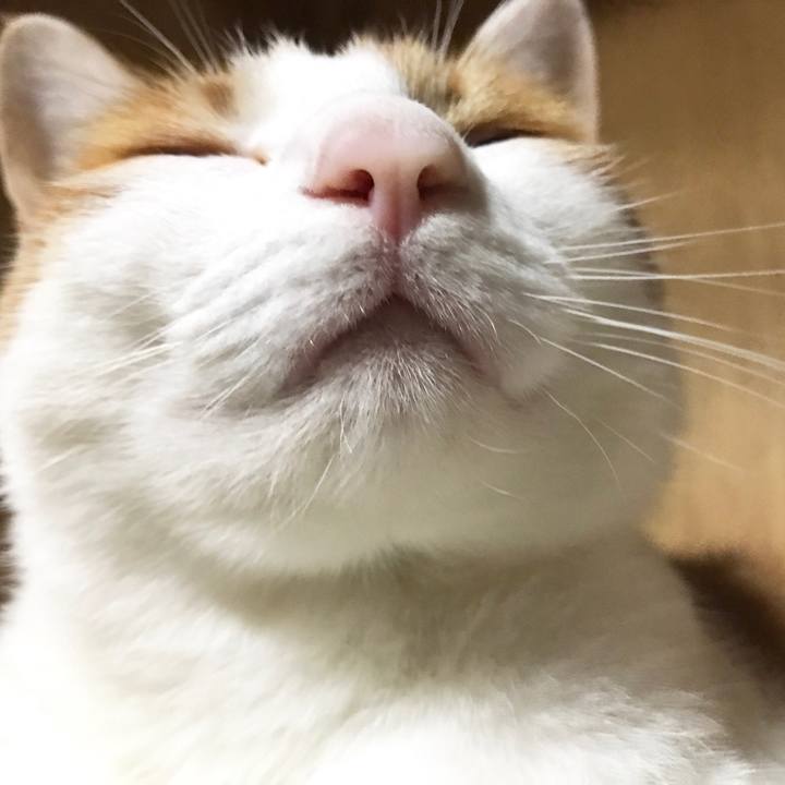 55d294a4 1906 4e6a aea2 e0afa39aa47e 1529157686074