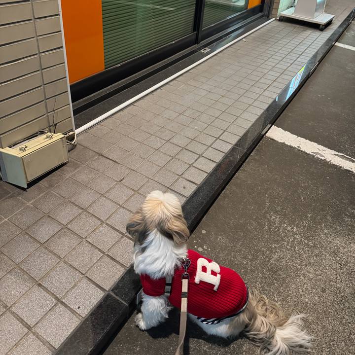 55d2a9ca a77e 4d5e aa1f 521949ce240d 1739810452940