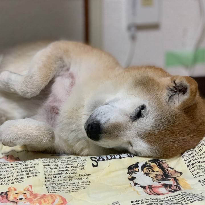 55d2cec0 7e9f 420a 84eb daf7f0851fce 1567949969129