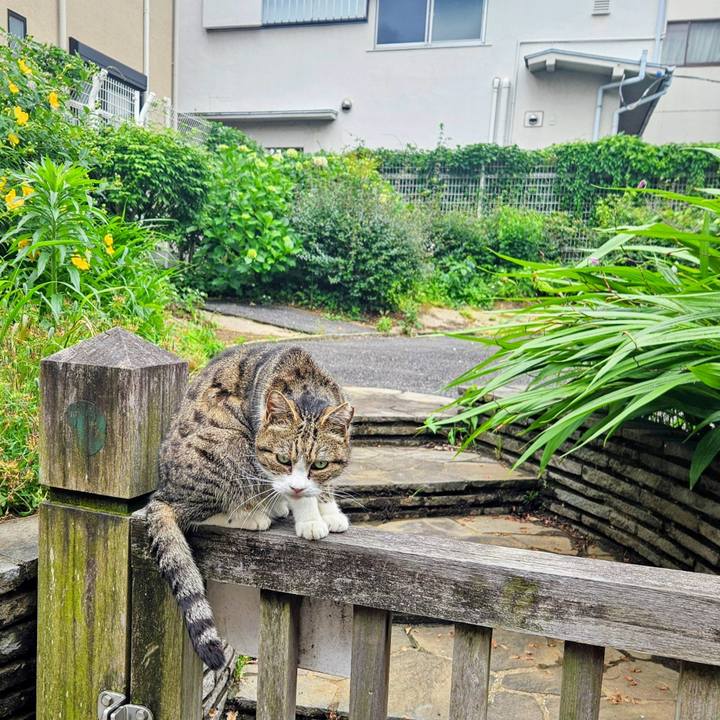 55d2ed81 05bc 4fa0 a0f7 19a0b212cb6a 1748667550926