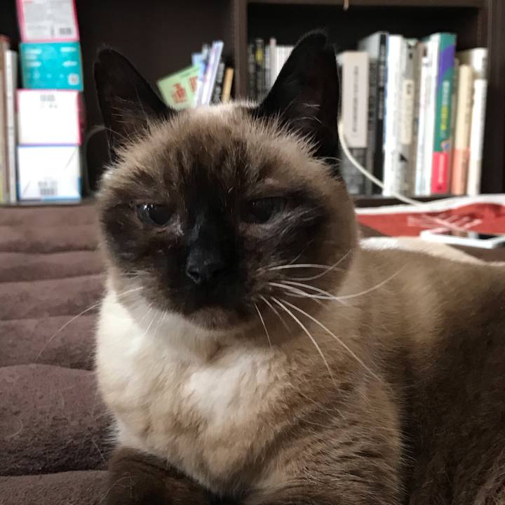 55d2fe4a 1ee8 4121 9dae 4e34b0b1452b 1594952182560