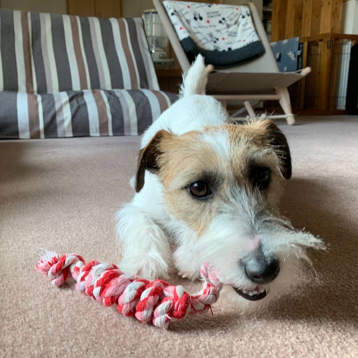 55d3182d 739d 46c6 96a6 b853317f28bb 1579239145513