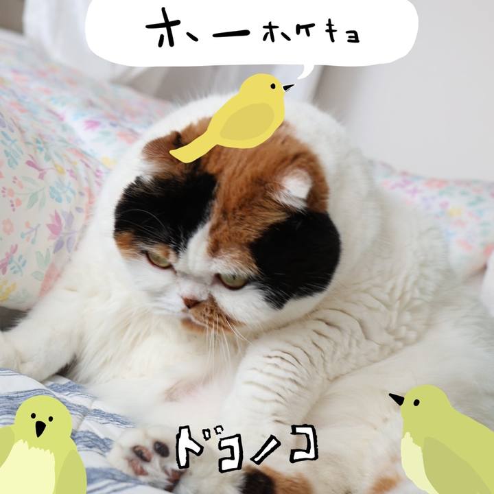 55d32880 6116 4ac5 888b 5ebae68c0400 1711026912264