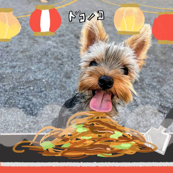 55d33506 78bf 4cdb 8e11 fae53ff304f2 1755309707387