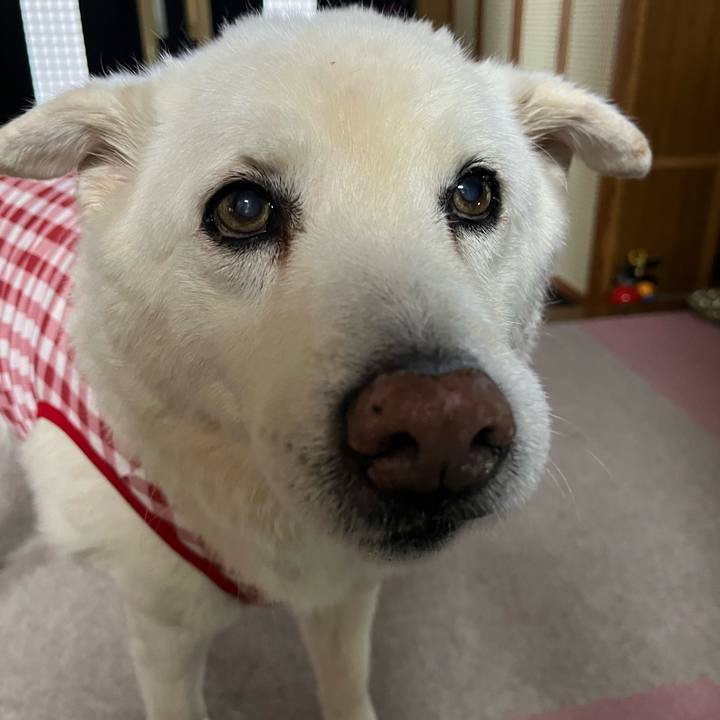 55d37c4f 0cbe 4e4d a0b1 144add4643de 1765840892017