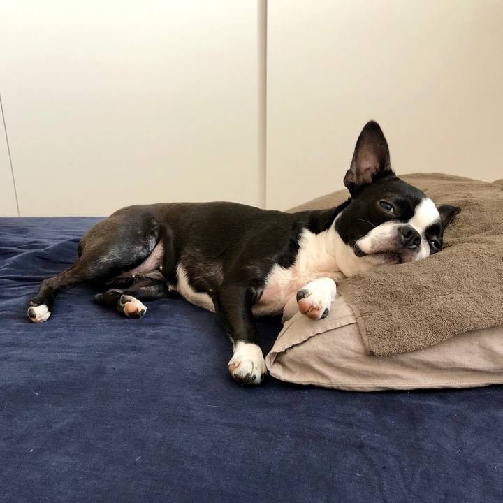 55d39484 c1ef 4031 815c 04fafb807f8f 1524282844589