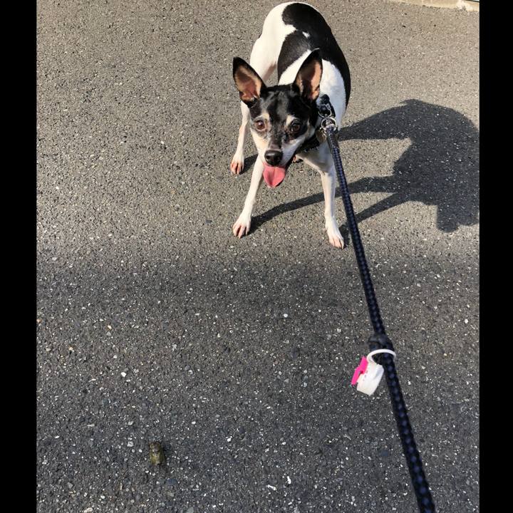 55d3ba9a c784 44ba 8c93 4567075fff85 1532336803102