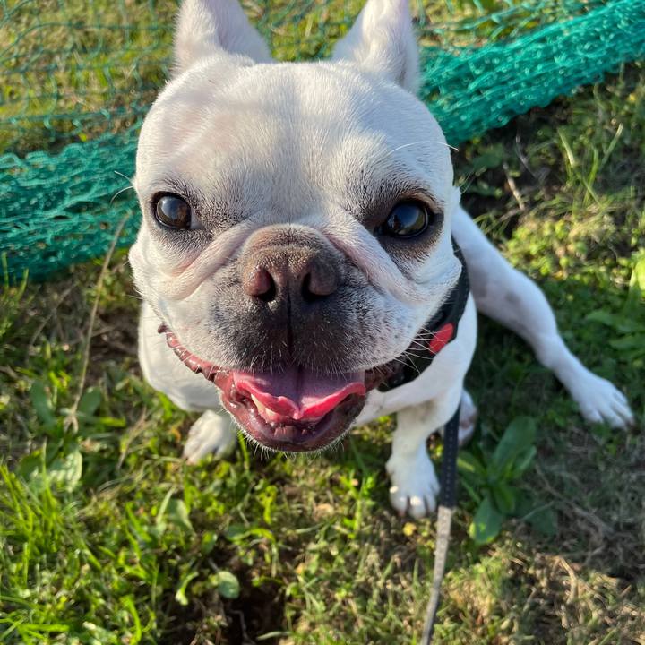 55d3dd06 51df 4938 b826 2e76abf4dae1 1731391792097