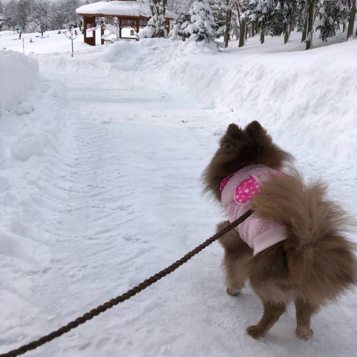 55d3ed1d 566f 4e48 a719 081a663a8751 1612407308663