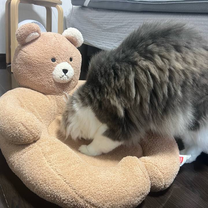 55d3f646 4ebf 4a4d b28c f50f0f81f45d 1759651893288