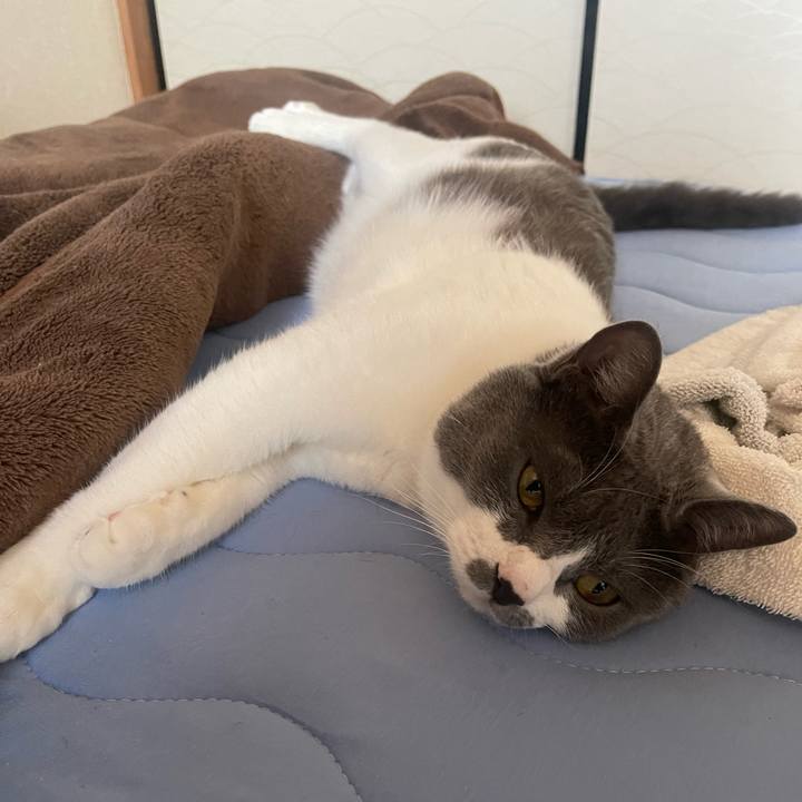 55d45a84 1346 4071 a17f 669ebadd029b 1656632811779