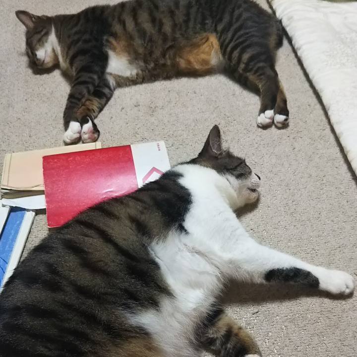 55d48fb8 8fef 49c3 9f90 b1184b1a4b9a 1602328394889