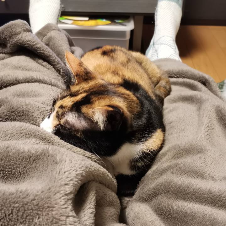 55d491b5 767e 4455 8d02 88720737f8ca 1678077167469