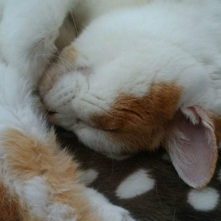 55d4a12b d298 440f 8971 c042c644a33c 1521600446611