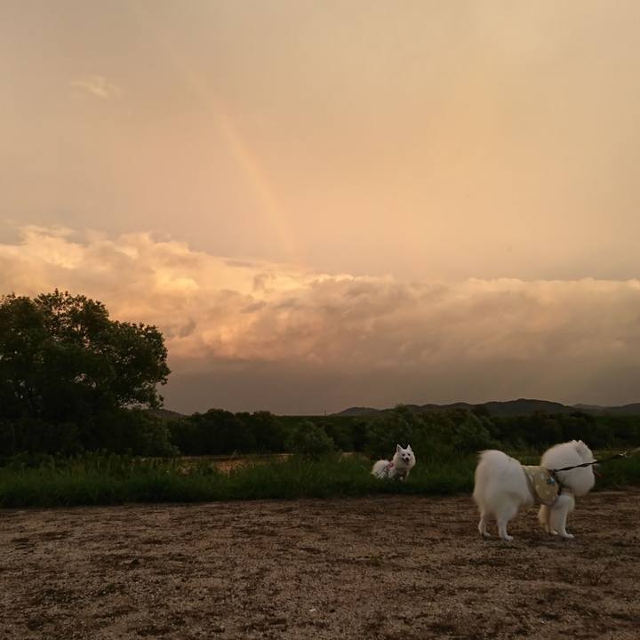 55d4bb85 0dae 48da b132 63e98a4333b8 1567936740791