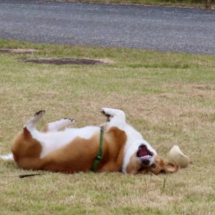 55d4e6eb 128d 4c27 8f04 c33c5944c00d 1704329316409