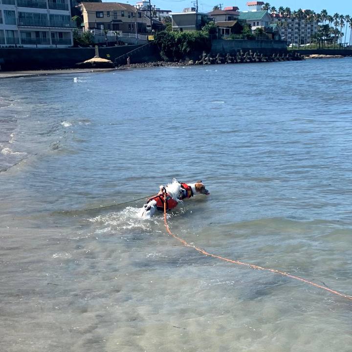 55d4f3b6 4d3b 4a51 9e28 2d53e5c662c4 1687349107669