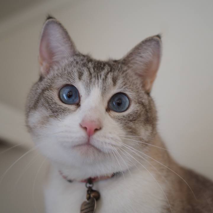 55d51f48 6c4d 4740 bebf dd50ff006b38 1604536437676