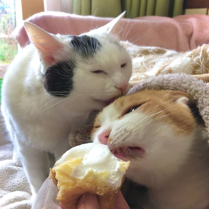 55d54ca7 2865 4cd8 9dd9 b408c36f9a12 1604646934180