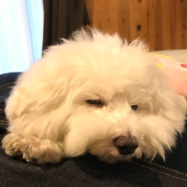 55d5c2e8 c990 4faf 9db4 ffe9d199e97e 1539417506291