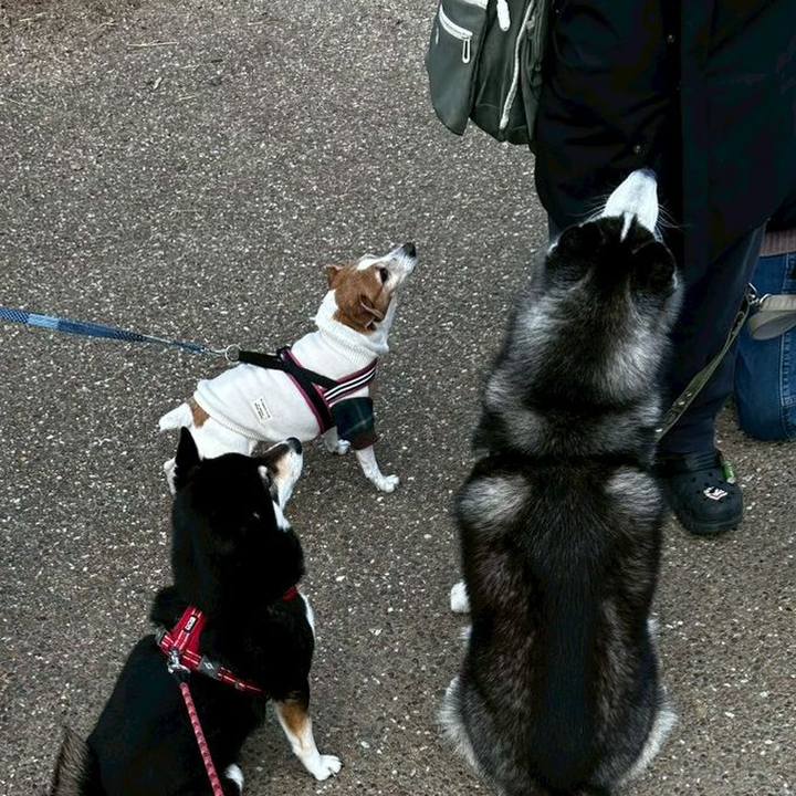 55d5c53a 46d7 405e 89e6 3ecacee2945c 1769560780236