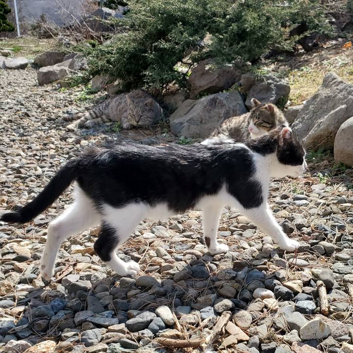 55d5e9e3 4c35 4509 9516 2505e2646026 1713237548768