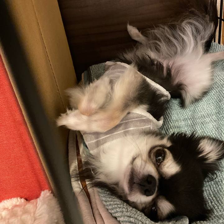 55d5f72b 4e31 43c8 8e3f af44dae3ab20 1715513506919