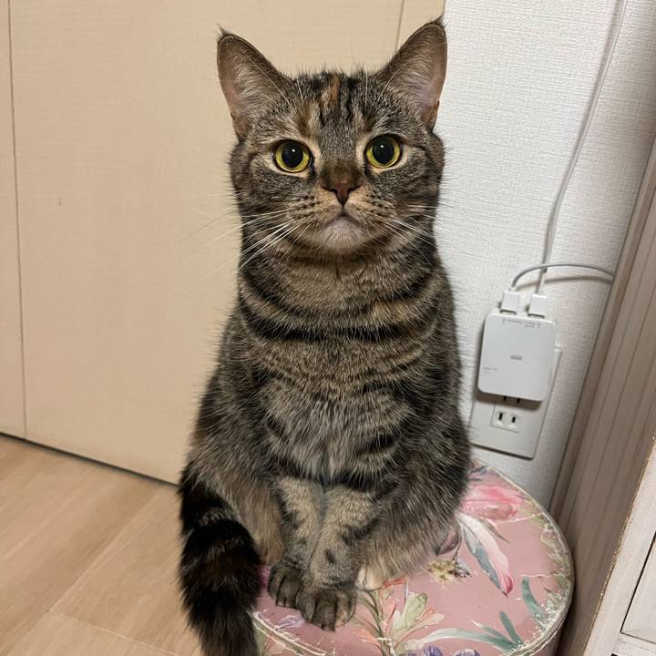 55d60768 ae65 45d4 a5d0 dd4dbf083e51 1675351783869