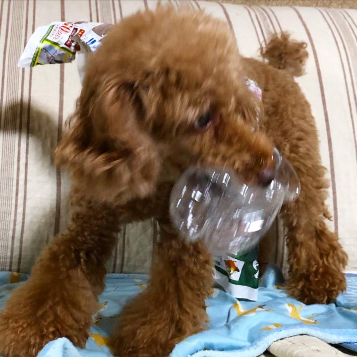 55d65bf2 5d6d 4b5e a8c0 3bbee5452e24 1598662793983