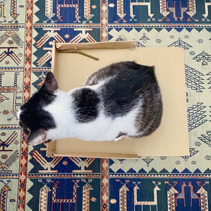 55d660ae 8b1f 4164 8036 a4680c1cde0d 1593683802160