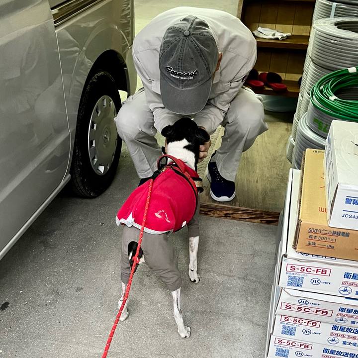 55d69022 962a 4862 8e6c af0d19dd5790 1648506595501