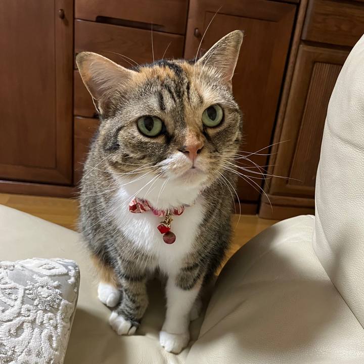 55d6a994 a6dc 4b50 ae71 e2ab4b6e0af0 1759617753419